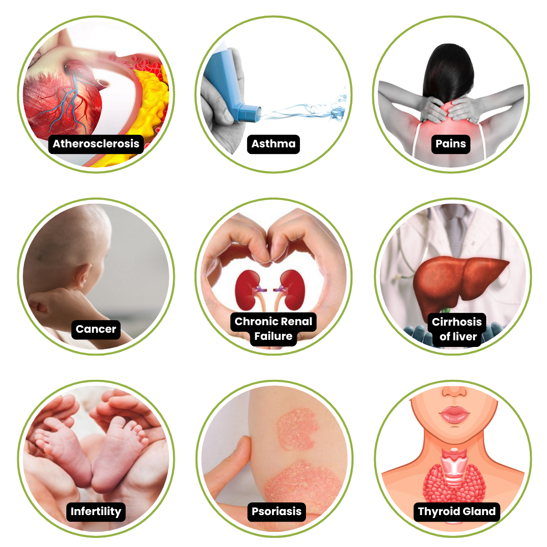 integrating ayurveda